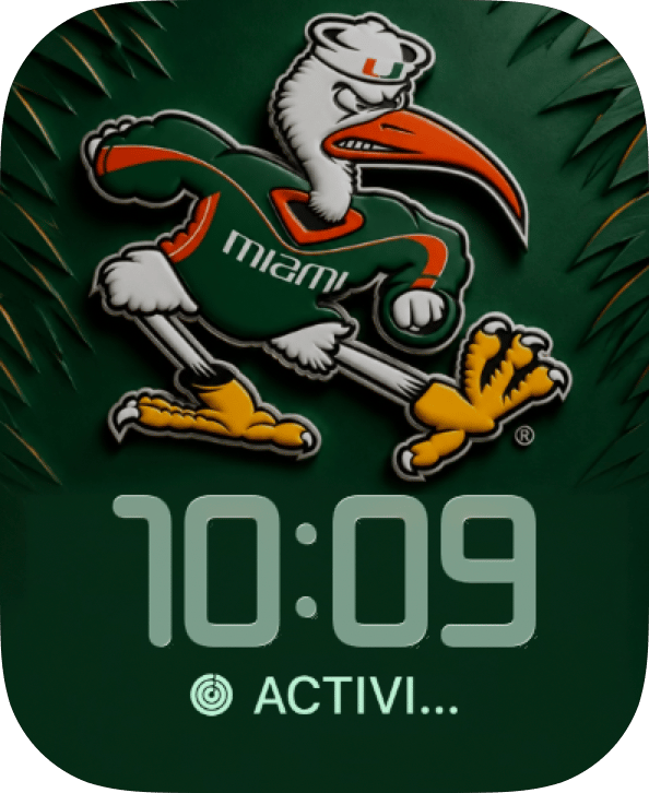Miami Hurricanes