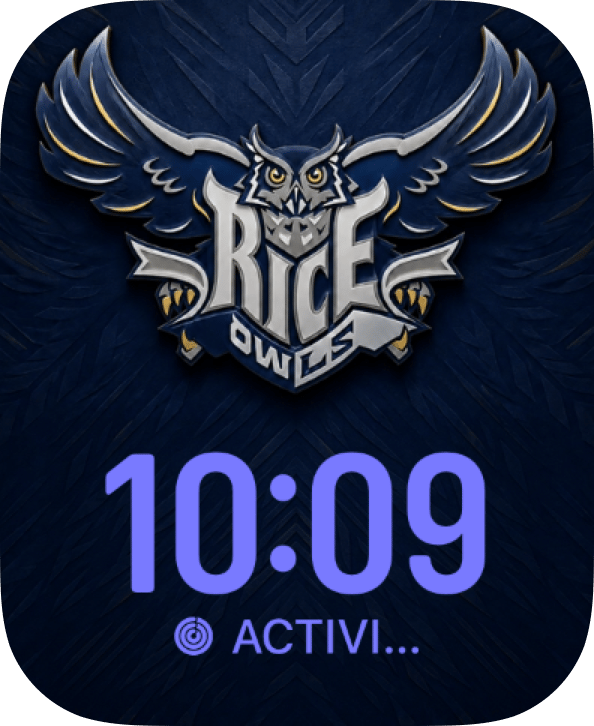 Rice Owls